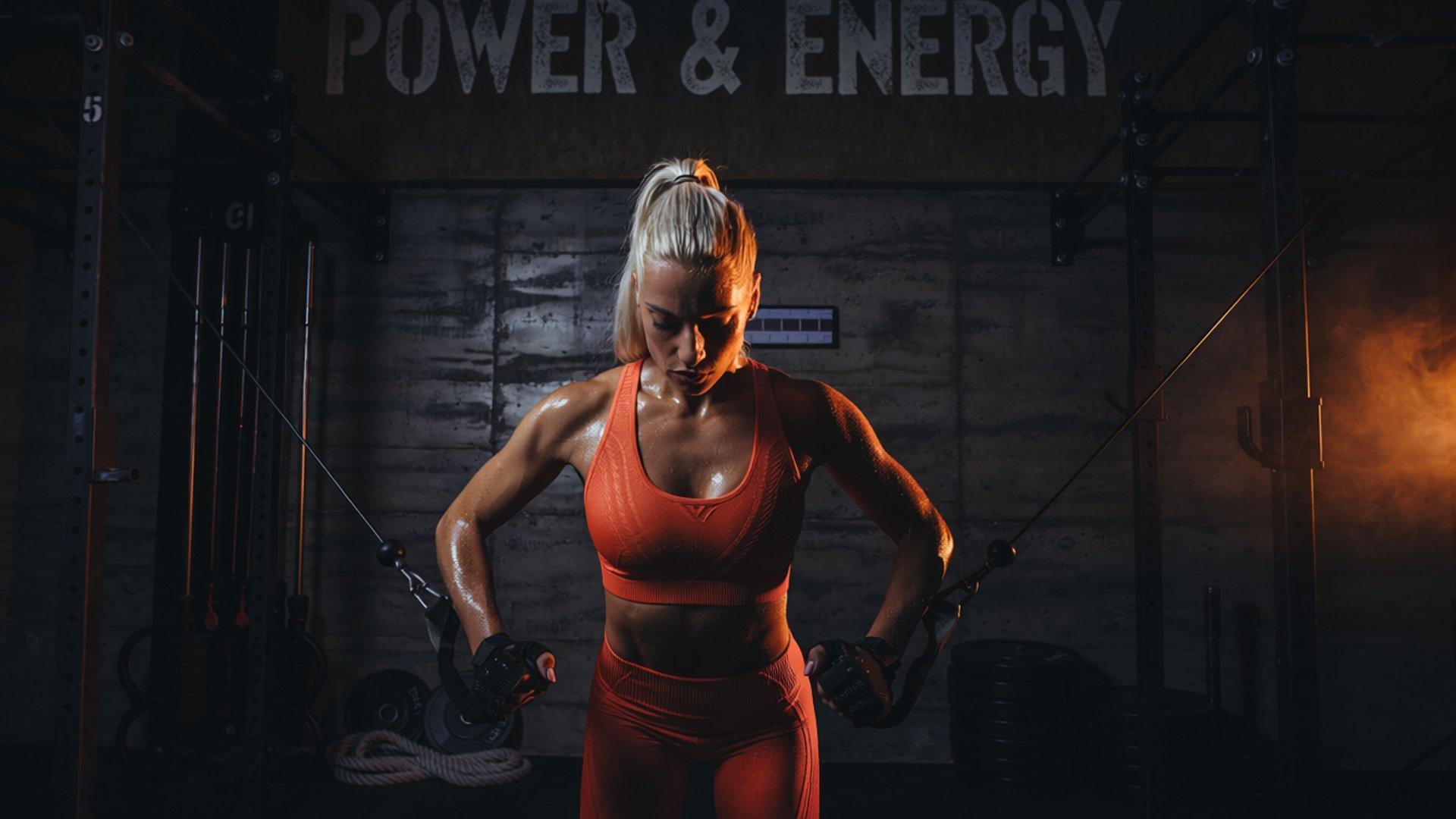 FitForge gym